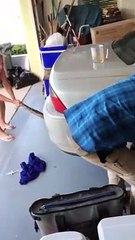 Mom Helps Remove Python Wrapped in Car