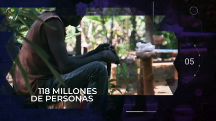 Reporte Climático 17 | La extinción es para siempre