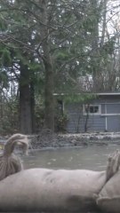 BC Prepares For Next Round Of Storms