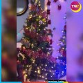 Ana Bárbara sorprende con tres árboles de Navidad