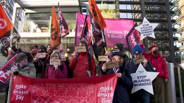 Экоактивисты против чёрной пятницы