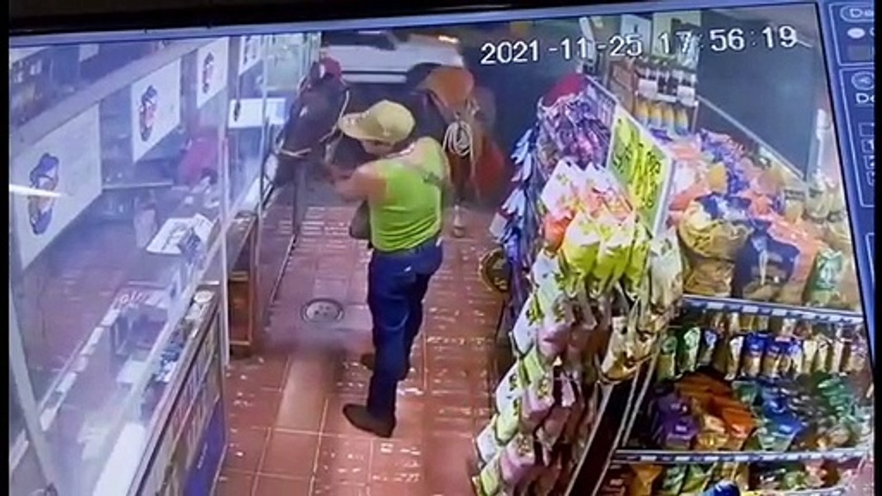 CABALLO LOCAL COMERCIAL