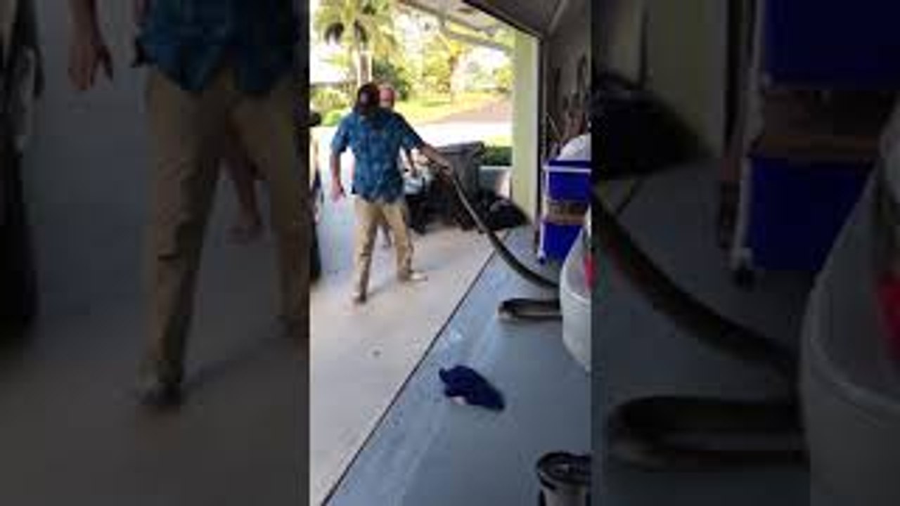 Mom Helps Remove Python Wrapped in Car