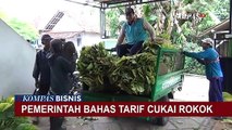 Colek Penetapan Tarif Cukai Rokok, Dirjen Bea Cukai Sebut Kenaikan Bisa Picu Peredaran Ilegal!