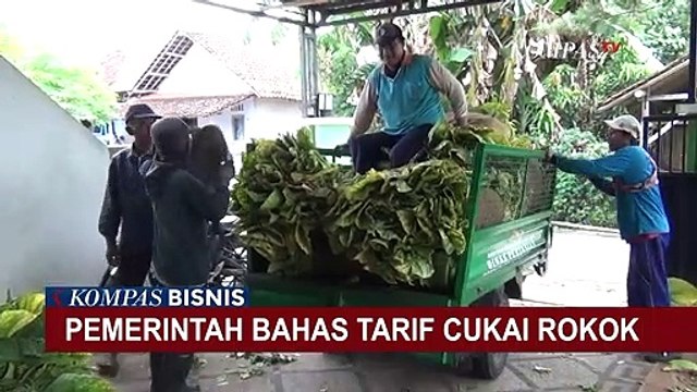 Colek Penetapan Tarif Cukai Rokok, Dirjen Bea Cukai Sebut Kenaikan Bisa Picu Peredaran Ilegal!