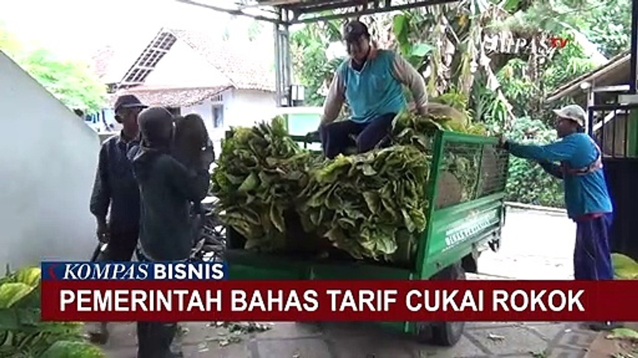 Colek Penetapan Tarif Cukai Rokok, Dirjen Bea Cukai Sebut Kenaikan Bisa Picu Peredaran Ilegal!