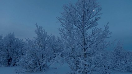 Last sunset as polar night begins in Finland