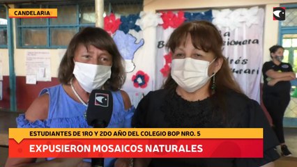 Expusieron mosaicos naturales