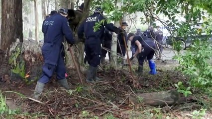 Potential new evidence discovered as William Tyrrell search continues