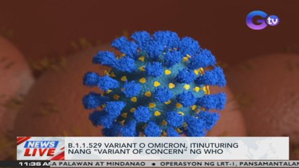 B.1.1.529 variant o Omicron, itinuturing nang 'variant of concern' ng WHO | News Live
