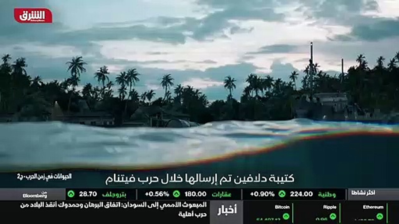 ...الى السمك إن فعلت هذا ، هل سأحصل على الع...