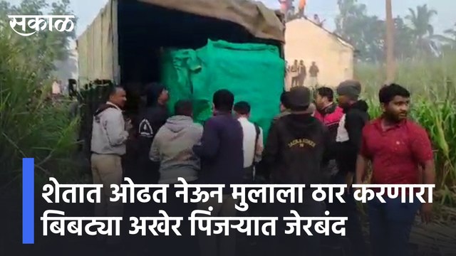 Karad | शेतात ओढत नेऊन मुलाला ठार करणारा बिबट्या अखेर पिंजऱ्यात जेरबंद | Sakal Media |