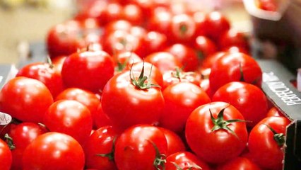 Tomato Price : Indians Google, Sambar Without Tomato || Oneindia Telugu