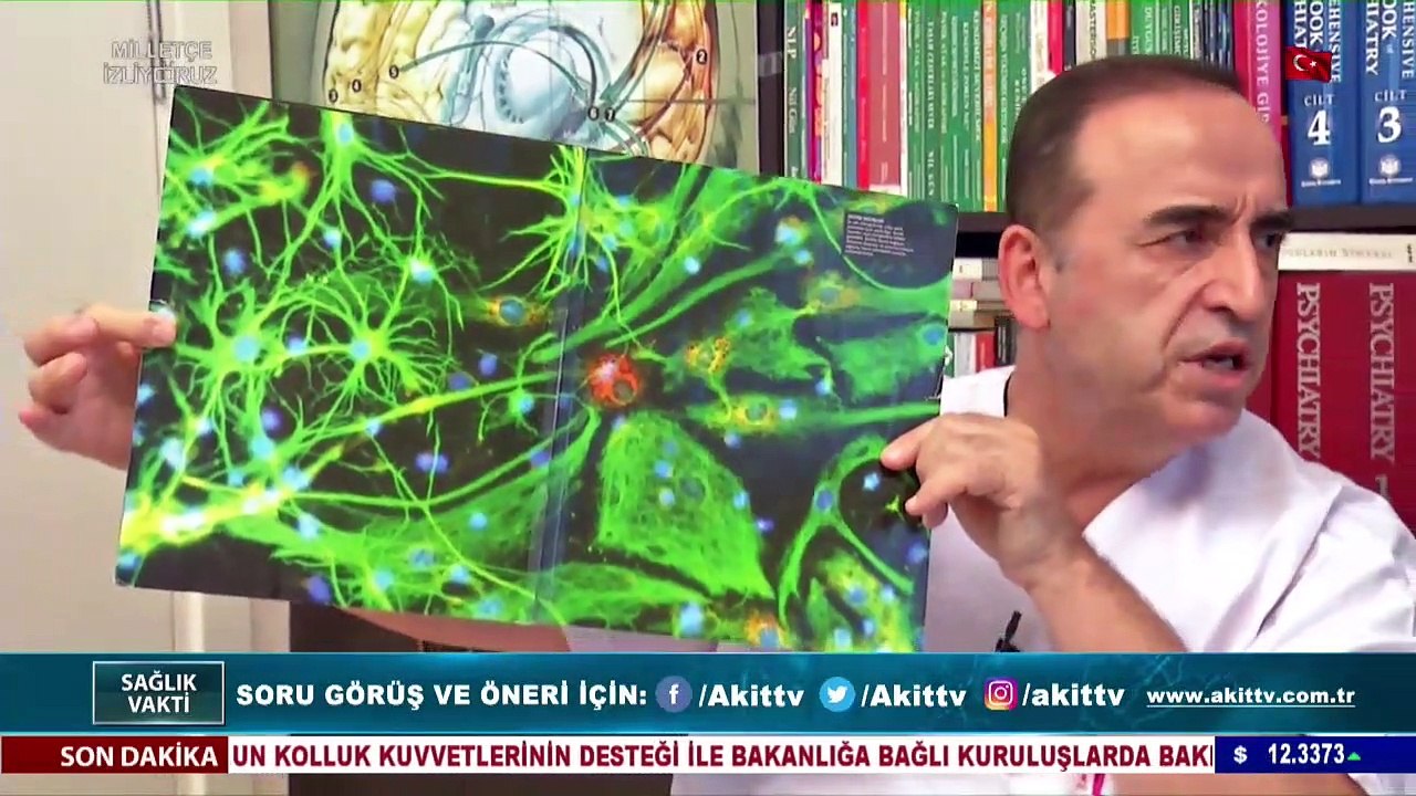 Sinir Bilim nedir ?