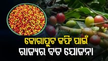 Odisha CM Naveen Announces Big Plans For Koraput Coffee Ahead Of Panchayat Polls