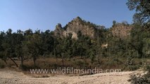 Ancient Shivalik hills in Rajaji National Park near Dehra dun