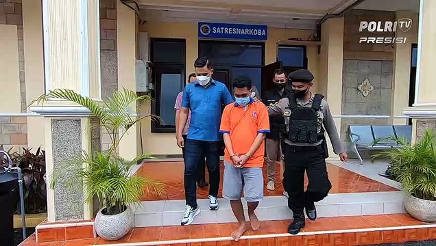 Polres Jember Tangkap Tersangka Pengedar dan Pemilik Tanaman Ganja