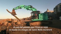 Saint-Malo: les légendaires brise-lames s'offrent une nouvelle jeunesse