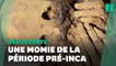 Au Pérou, des archéologues découvrent une momie âgée de 1200 ans