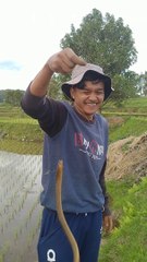 Mancing mantap tangkapan super besar #belutsawah