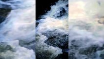 Waterfall video| Goan waterfall | Waterfall video 2021|