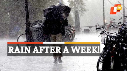Odisha Weather: IMD Forecasts Rainfall Ahead, Check For Details