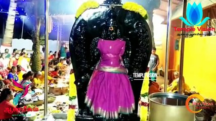 #templevision #tv24 #கோவையில் அஷ்டதக்ஷ புஜ மகா கால பைரவருக்கு 18 யாக  குண்டங்களில் வேள்வி வழிபாடு |