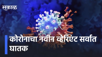 Botswana Variant | कोरोनाचा नवीन व्हेरिएंट सर्वात घातक