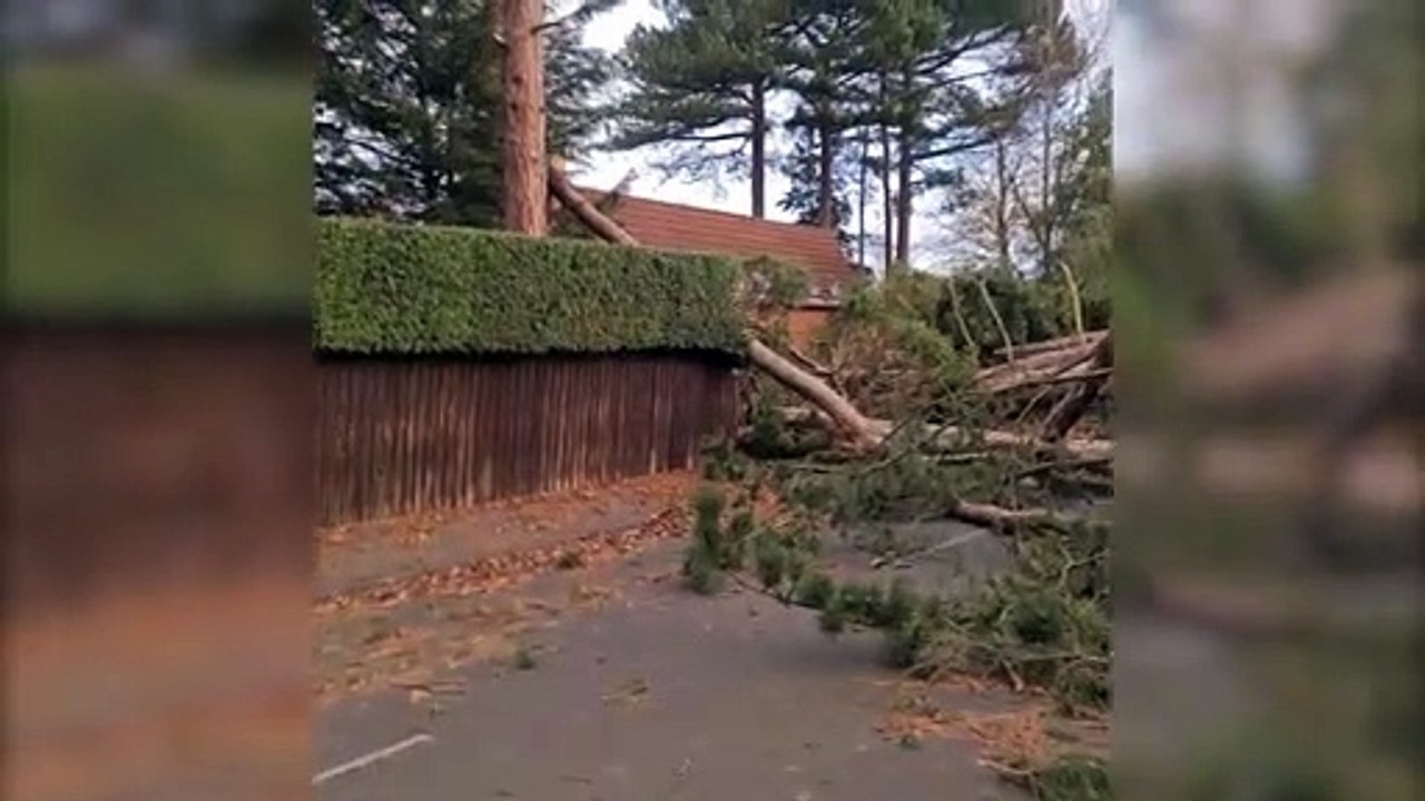 Sturm in Großbritannien: Drei Tote
