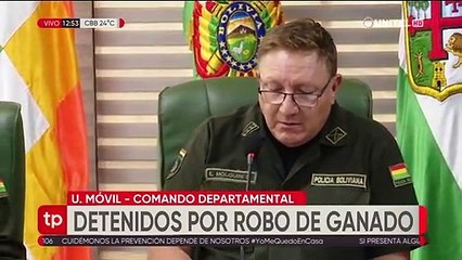 Dos hermanos y el primo de ambos, detenidos por robo de ganado