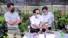 อาจารย์อุดม ฐิตวัฒนะสกุล เจ้าของสวน “อุดมการ์เด้น” EP.2 | Perspective [28 พ.ย. 64]