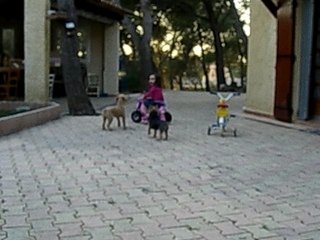 ILONA ET SA MOTO ET LES CHIENNES