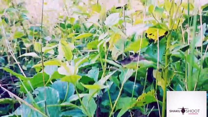 Karnataka tourism Spot ( Episode - 2 )