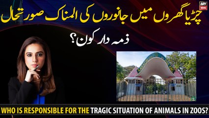 Who is responsible for the tragic situation of animals in zoos?