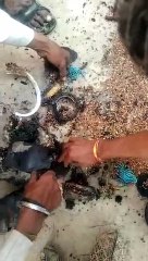 आग लगने से घरेलू सामान जलकर नष्ट