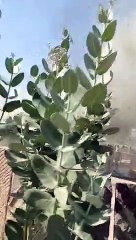 आग लगने से घरेलू सामान जलकर नष्ट