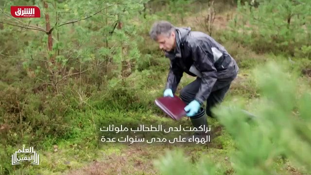 ...ارتفاع الاشجار مهم لأن قمم الأشجار يمكن ...