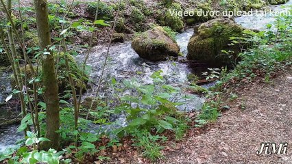 [4k] Rắn Hoa Cỏ Cổ Đỏ – Loài Rắn Tích Độc Từ Con Mồi