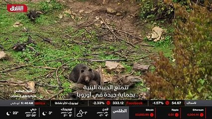 ...إن قيام اليونسكو الحفاظ على التراث...