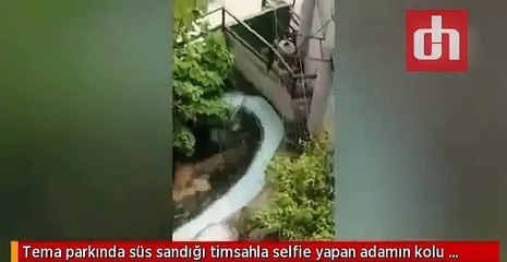 فيديو رجل يحاول التقاط سيلفي مع تمساح بلاستيكي ليكتشف مفاجأة غير سارة