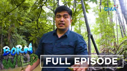 Born to be Wild: Breaking Territories: Week 2 | Full Episode