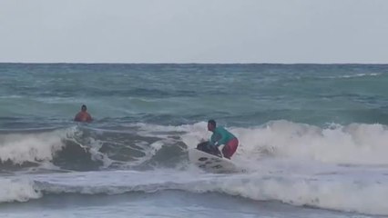 Los perros se convierten en los reyes de las olas en Brasil