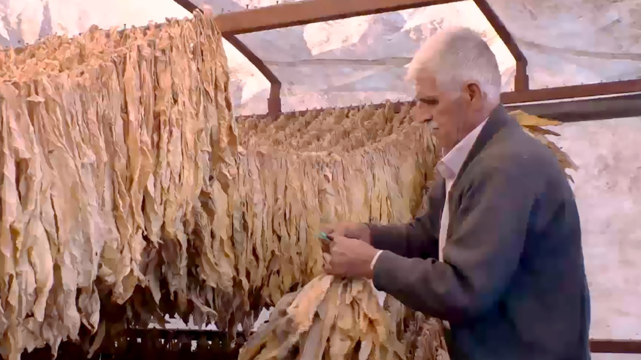 قانون جديد بتركيا ينظم تجارة التبغ.. فهل يؤثر على الإنتاج؟