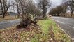 Storm Arwen in Hartlepool: High winds at Belle Vue Way on Saturday, November 27