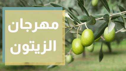 انطلاق مهرجان الزيتون الوطني ومعرض منتجات ريفية في عمان