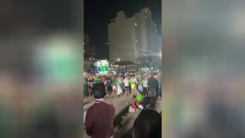 Les fans de Palmeiras en liesse à São Paulo