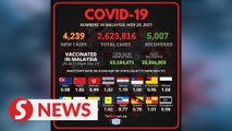 Covid-19: M'sia detects 4,239 new daily cases, first time below 4,500 mark since Nov 7
