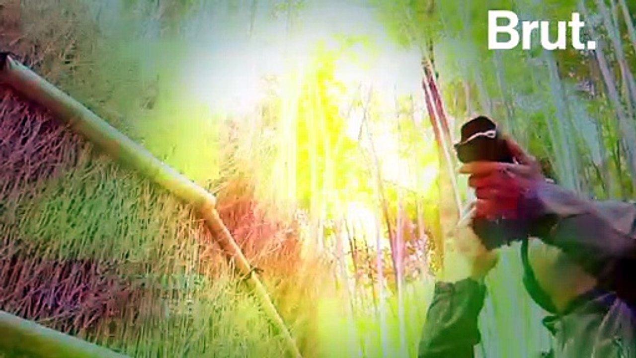 La forêt de bambous de Sagano, une expérience visuelle et sonore unique