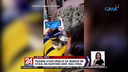 Pusang ayaw umalis sa ibabaw ng ataul ng kanyang amo, nag-viral | 24 Oras Weekend
