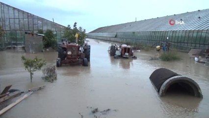Antalya'da yağmur ve fırtına biber seralarını vurdu